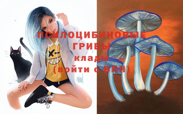 гидропоника Баксан