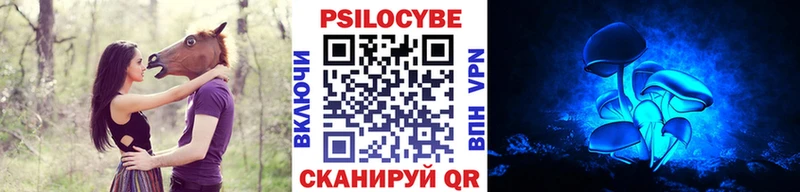 Псилоцибиновые грибы Psilocybe  наркота  ссылка на мегу вход  Балтийск 