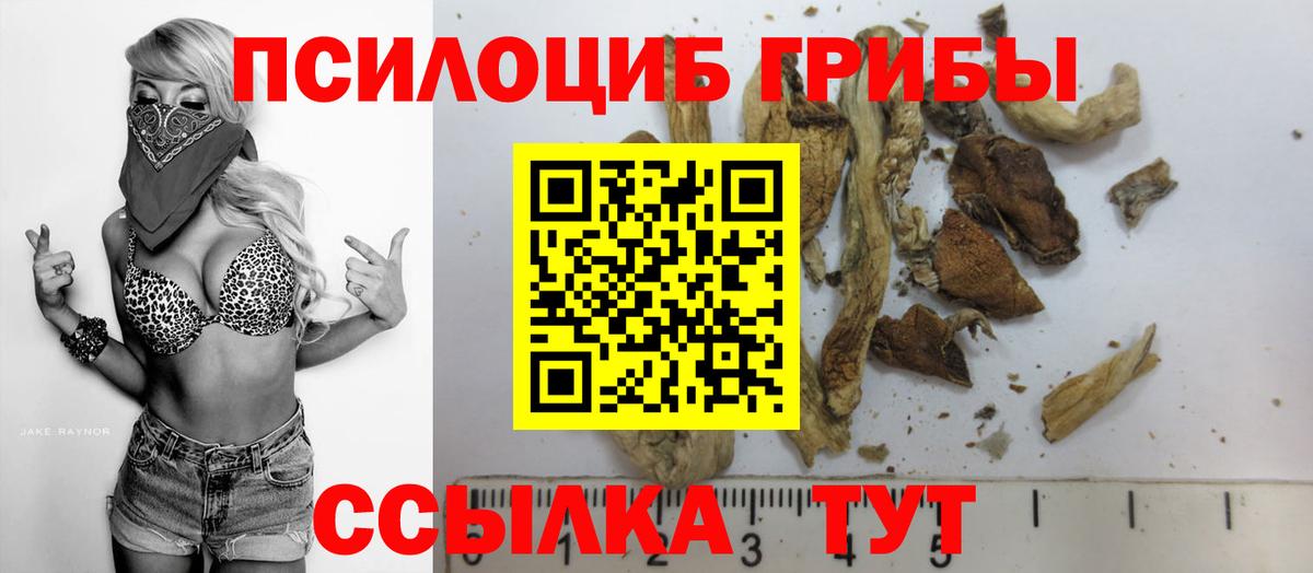 Балтийск  Псилоцибиновые грибы Psilocybe  Вход с VPN  Галлюциногенные грибы MAGIC MUSHROOMS 